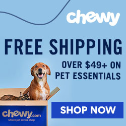 best and worst dog foods