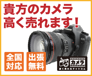 カメラ女子大注目 レトロさと可愛さを持つミラーレス Nikon Z Fc 登場 ケロカメラ